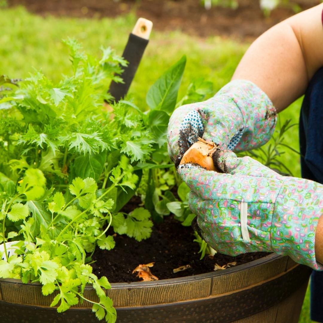 Free Guide Farm and Garden Special Collection Grit